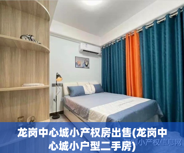 龙岗中心城小产权房出售(龙岗中心城小户型二手房)