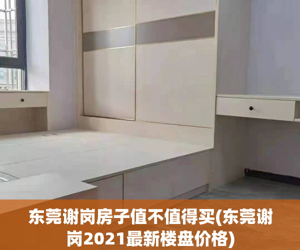 东莞谢岗房子值不值得买(东莞谢岗2021最新楼盘价格)