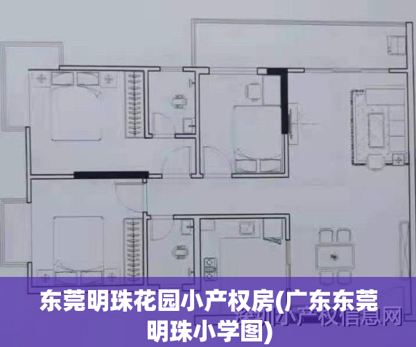 东莞明珠花园小产权房(广东东莞明珠小学图)