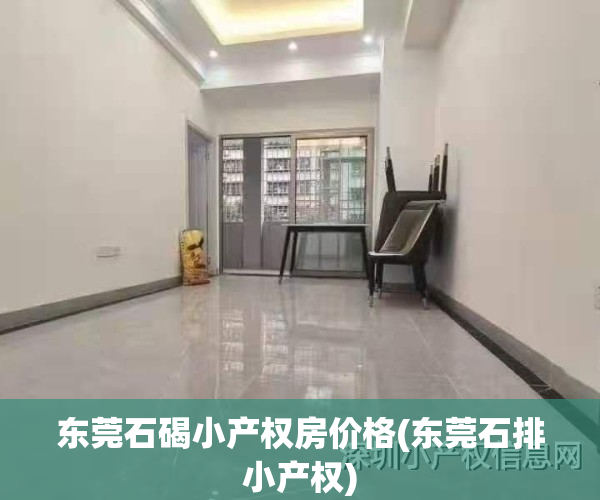 东莞石碣小产权房价格(东莞石排小产权)
