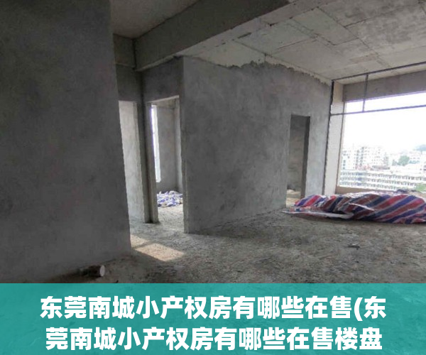 东莞南城小产权房有哪些在售(东莞南城小产权房有哪些在售楼盘)