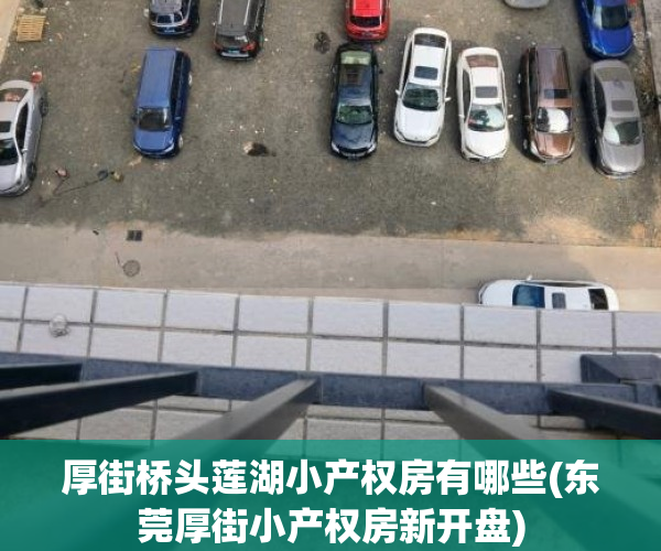 厚街桥头莲湖小产权房有哪些(东莞厚街小产权房新开盘)