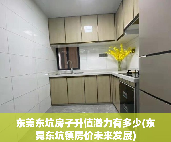 东莞东坑房子升值潜力有多少(东莞东坑镇房价未来发展)
