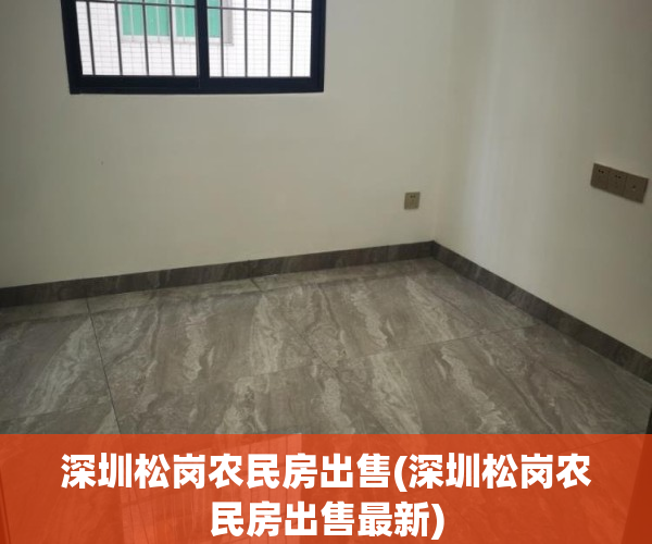 深圳松岗农民房出售(深圳松岗农民房出售最新)