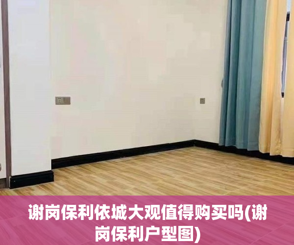 谢岗保利依城大观值得购买吗(谢岗保利户型图)