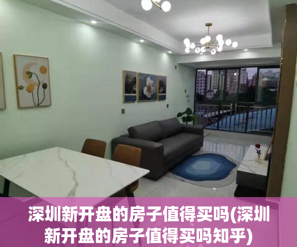 深圳新开盘的房子值得买吗(深圳新开盘的房子值得买吗知乎)