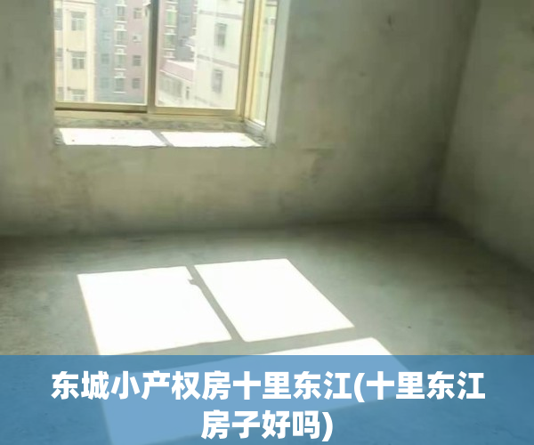 东城小产权房十里东江(十里东江房子好吗)