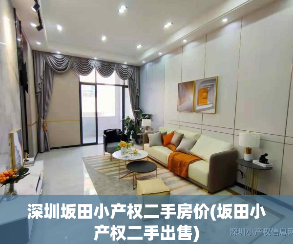 深圳坂田小产权二手房价(坂田小产权二手出售)