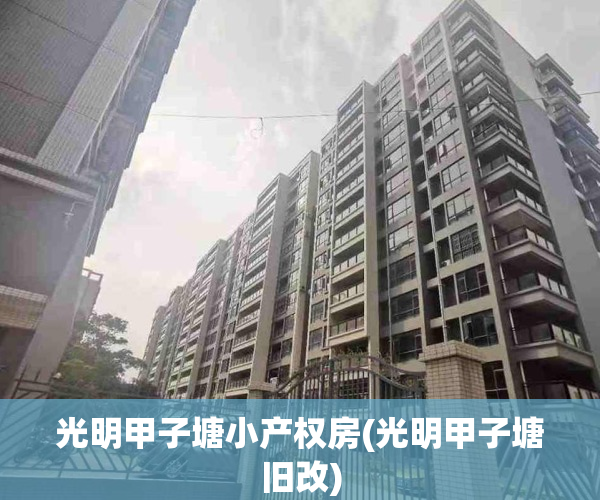 光明甲子塘小产权房(光明甲子塘旧改)