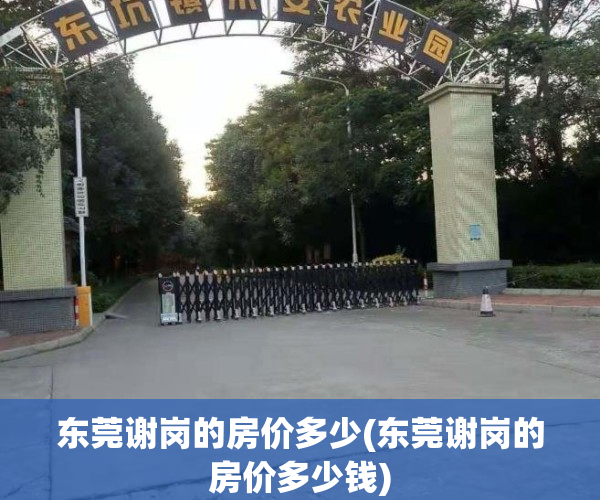 东莞谢岗的房价多少(东莞谢岗的房价多少钱)