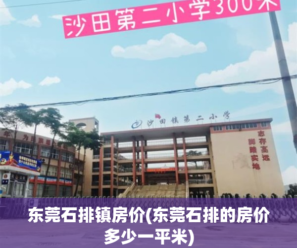 东莞石排镇房价(东莞石排的房价多少一平米)