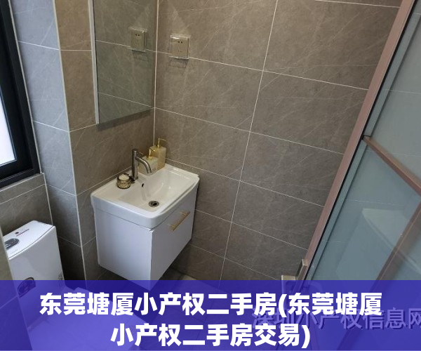 东莞塘厦小产权二手房(东莞塘厦小产权二手房交易)