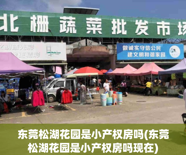 东莞松湖花园是小产权房吗(东莞松湖花园是小产权房吗现在)