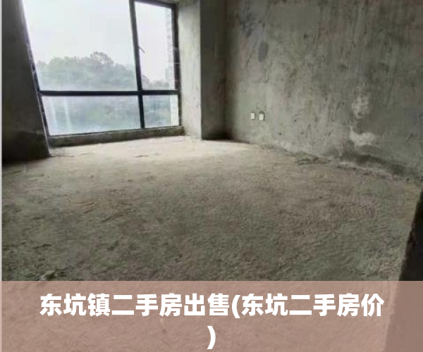 东坑镇二手房出售(东坑二手房价)