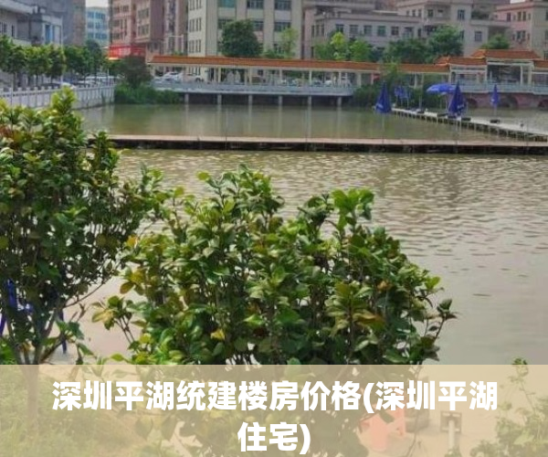 深圳平湖统建楼房价格(深圳平湖住宅)