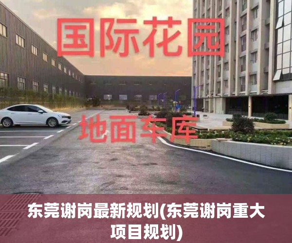 东莞谢岗最新规划(东莞谢岗重大项目规划)