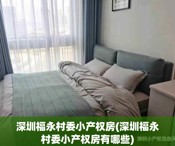 深圳福永村委小产权房(深圳福永村委小产权房有哪些)