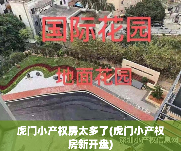 虎门小产权房太多了(虎门小产权房新开盘)