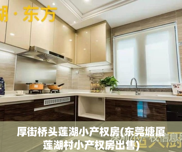 厚街桥头莲湖小产权房(东莞塘厦莲湖村小产权房出售)