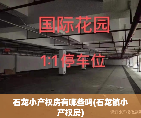 石龙小产权房有哪些吗(石龙镇小产权房)