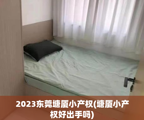 2023东莞塘厦小产权(塘厦小产权好出手吗)