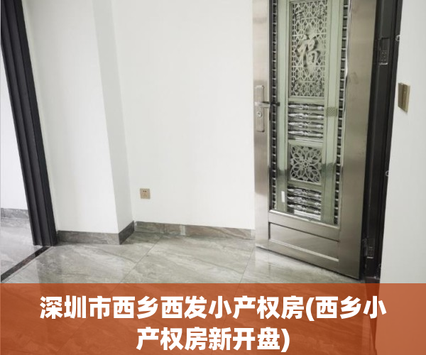 深圳市西乡西发小产权房(西乡小产权房新开盘)