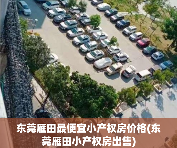 东莞雁田最便宜小产权房价格(东莞雁田小产权房出售)