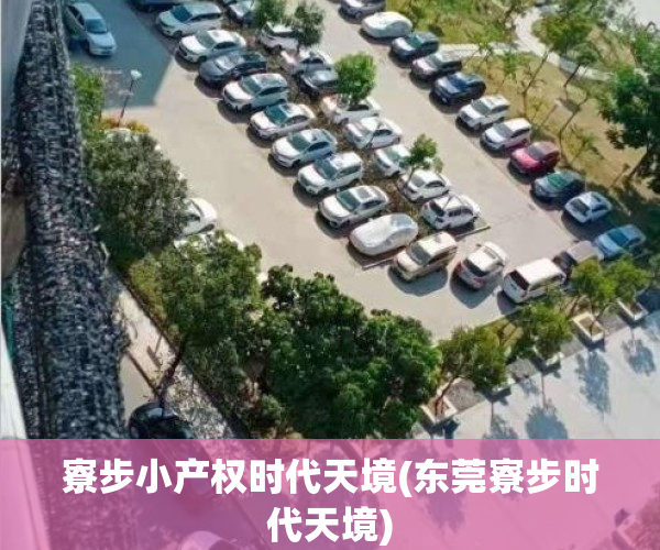 寮步小产权时代天境(东莞寮步时代天境)