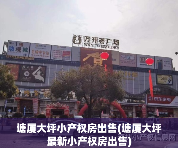 塘厦大坪小产权房出售(塘厦大坪最新小产权房出售)