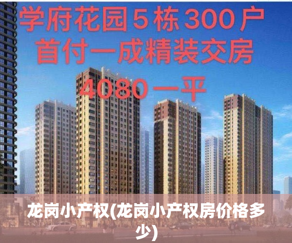 龙岗小产权(龙岗小产权房价格多少)