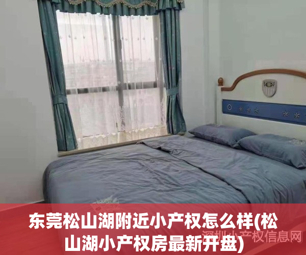 东莞松山湖附近小产权怎么样(松山湖小产权房最新开盘)