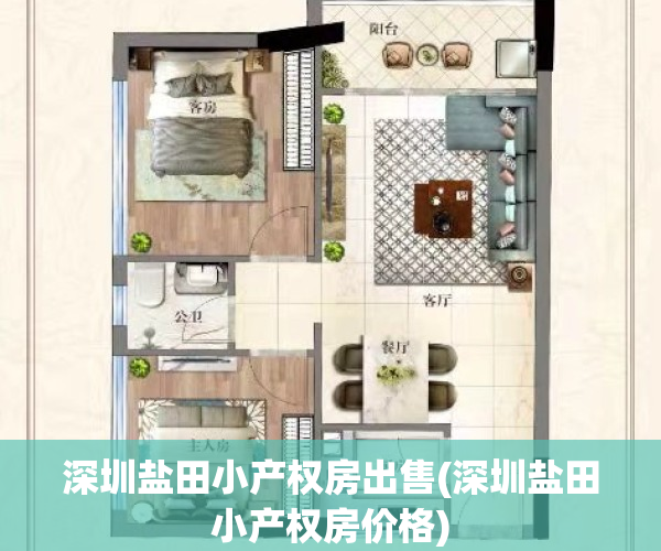 深圳盐田小产权房出售(深圳盐田小产权房价格)