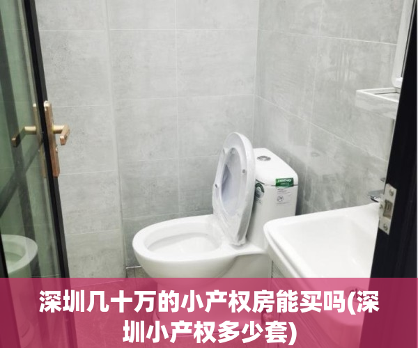 深圳几十万的小产权房能买吗(深圳小产权多少套)