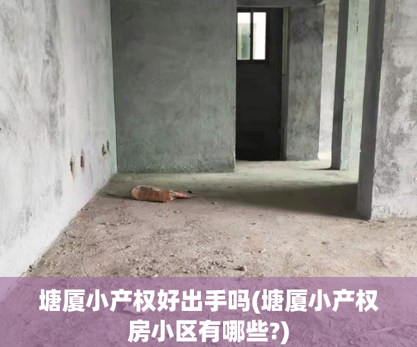 塘厦小产权好出手吗(塘厦小产权房小区有哪些?)