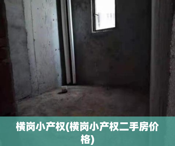 横岗小产权(横岗小产权二手房价格)