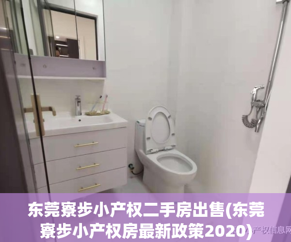 东莞寮步小产权二手房出售(东莞寮步小产权房最新政策2020)
