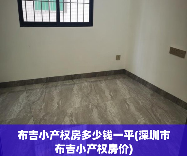 布吉小产权房多少钱一平(深圳市布吉小产权房价)