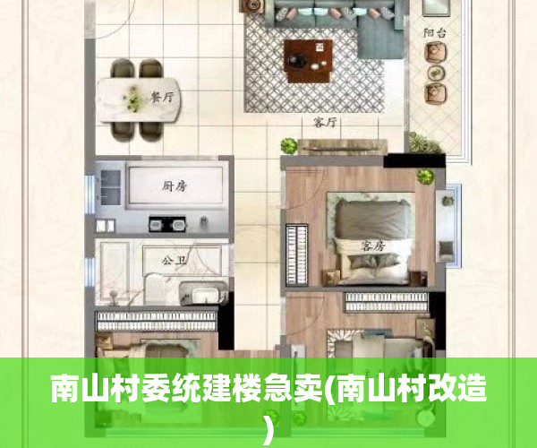 南山村委统建楼急卖(南山村改造)