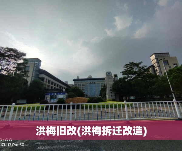 洪梅旧改(洪梅拆迁改造)
