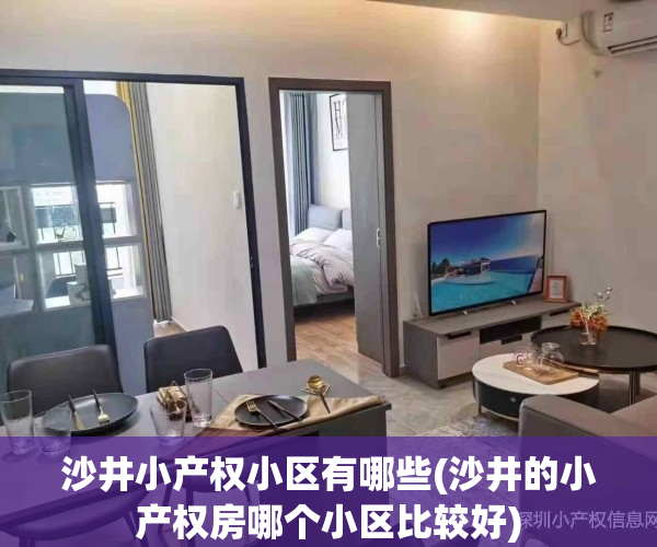 沙井小产权小区有哪些(沙井的小产权房哪个小区比较好)