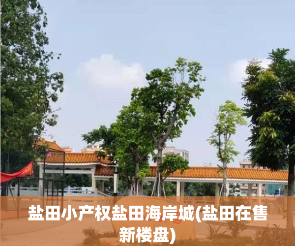 盐田小产权盐田海岸城(盐田在售新楼盘)