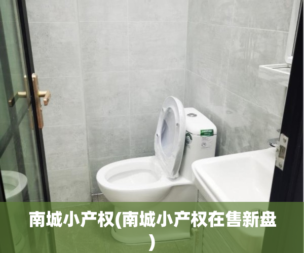 南城小产权(南城小产权在售新盘)