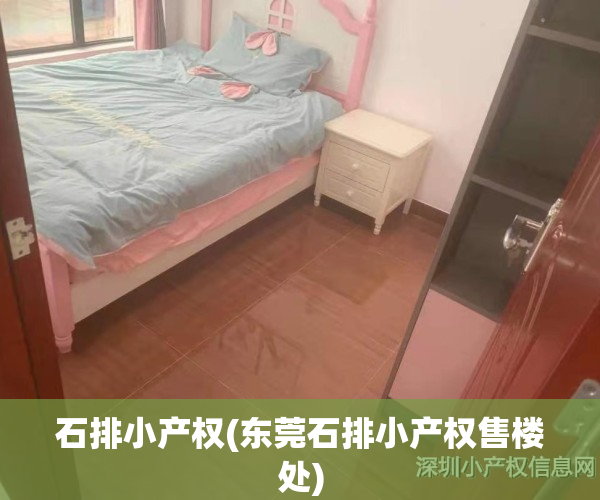 石排小产权(东莞石排小产权售楼处)