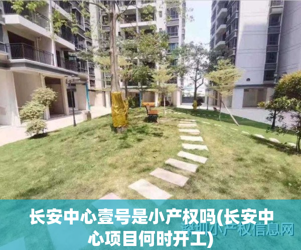 长安中心壹号是小产权吗(长安中心项目何时开工)