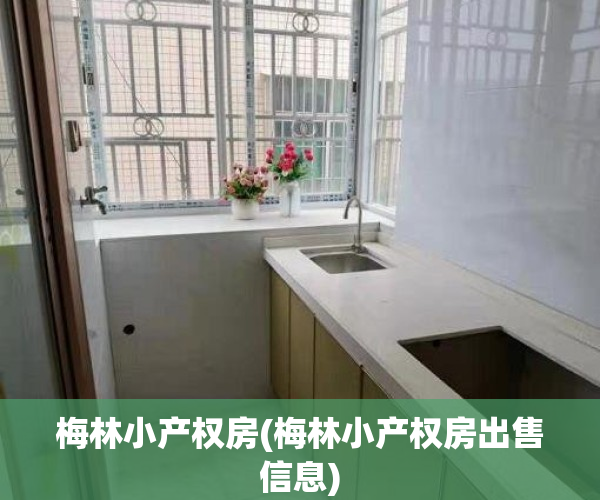梅林小产权房(梅林小产权房出售信息)
