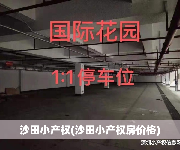沙田小产权(沙田小产权房价格)