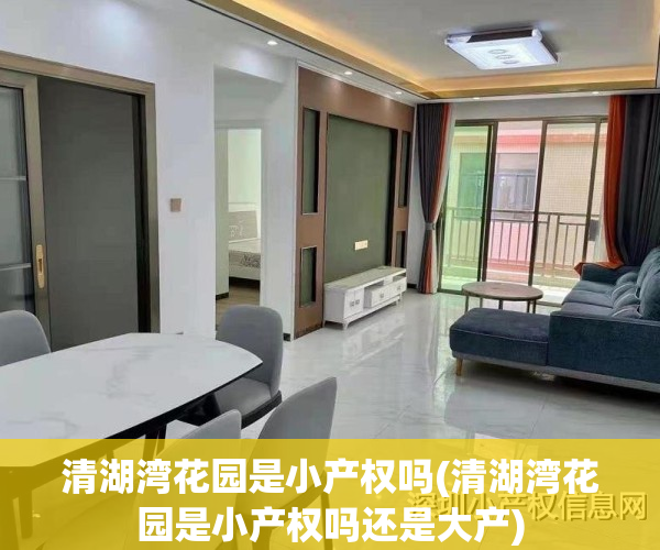 清湖湾花园是小产权吗(清湖湾花园是小产权吗还是大产)