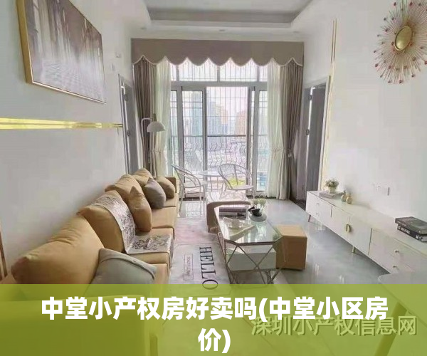 中堂小产权房好卖吗(中堂小区房价)