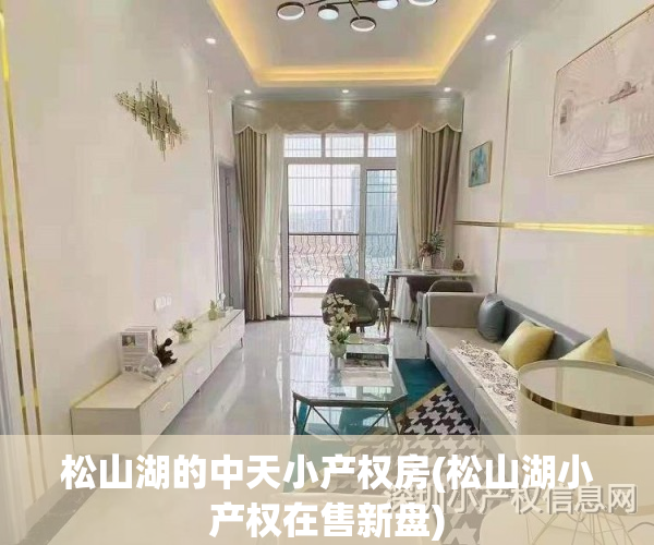 松山湖的中天小产权房(松山湖小产权在售新盘)