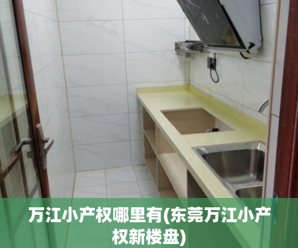 万江小产权哪里有(东莞万江小产权新楼盘)